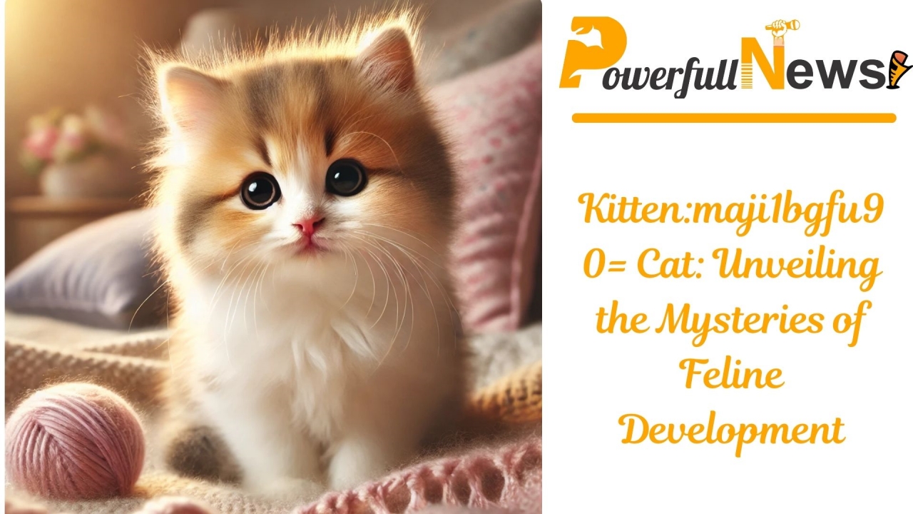 Kitten:maji1bgfu90= Cat: Unveiling the Mysteries of Feline Development